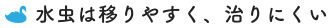  治りにくく、うつりやすい水虫