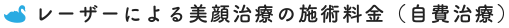 レーザーによる美顔治療の施術料金（自費治療）