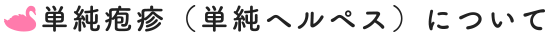 単純疱疹（単純ヘルペス）について