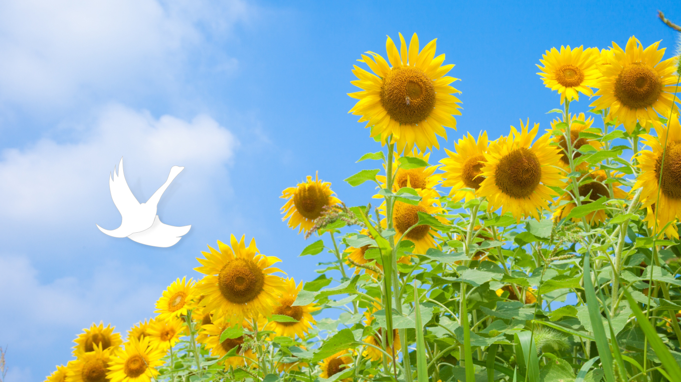 名古屋市熱田区の白鳥皮フ科クリニック