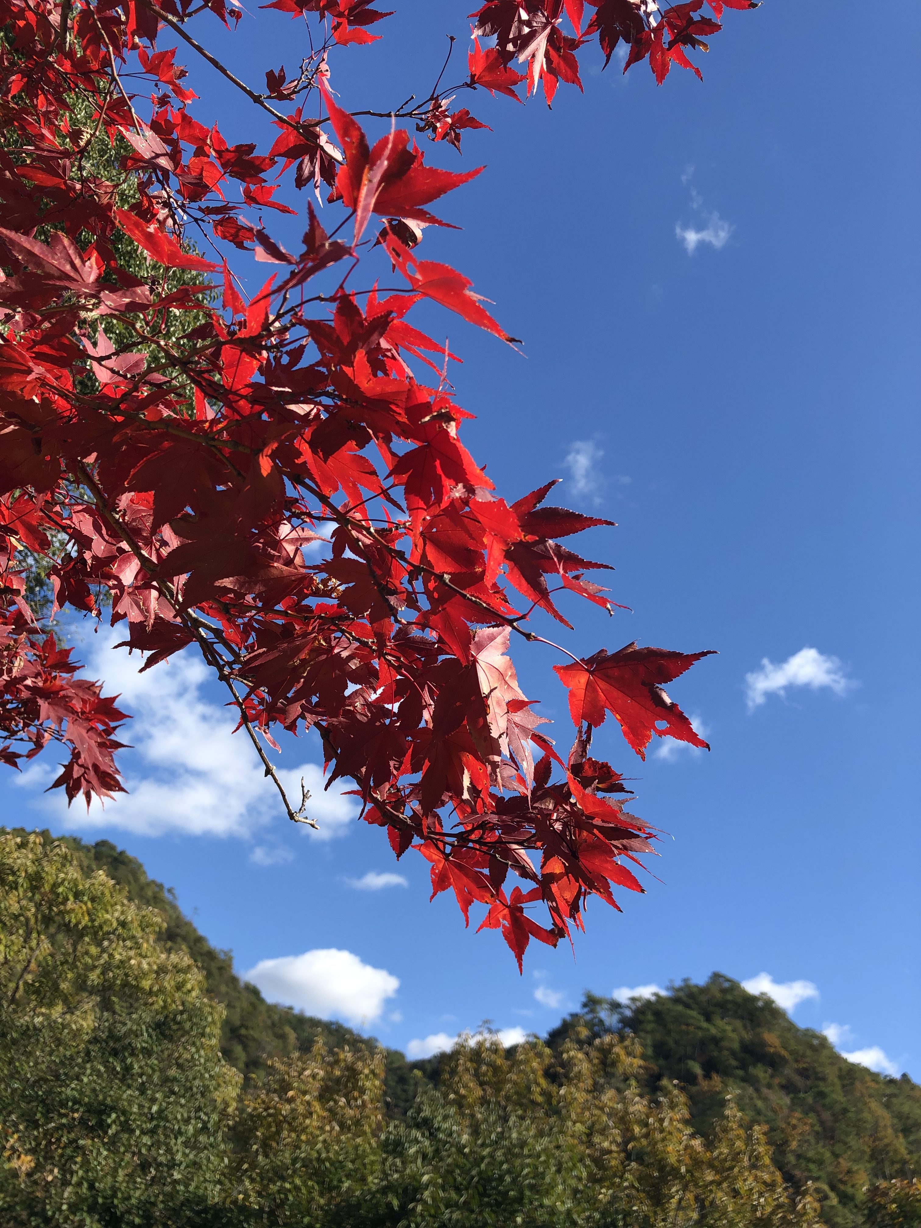 乾燥する季節です お問合せｑ ａ 名古屋市熱田区の白鳥皮フ科クリニック